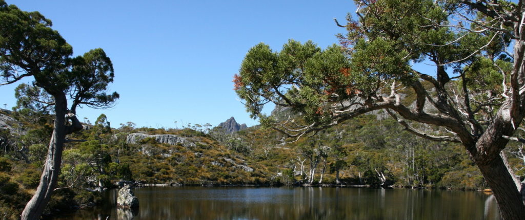 wombat-pool-in-cradle-mountain-tasmania-1357020-1279x852